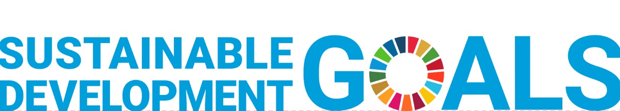 SDG Vertical Logo
